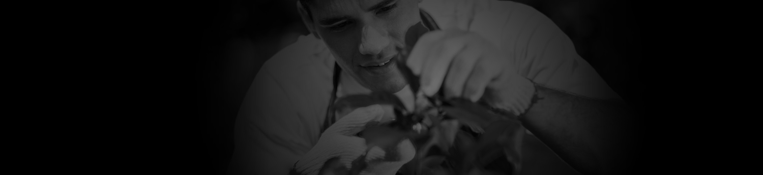 banner-jardinagem